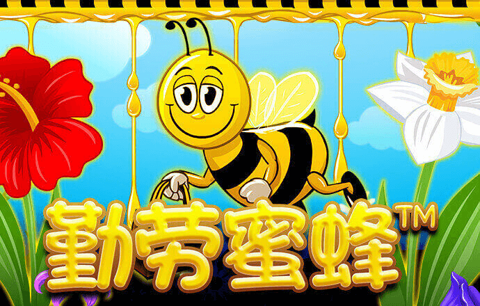 世博官网app